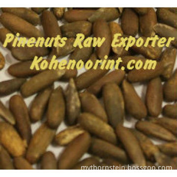 Pine Nuts Raw